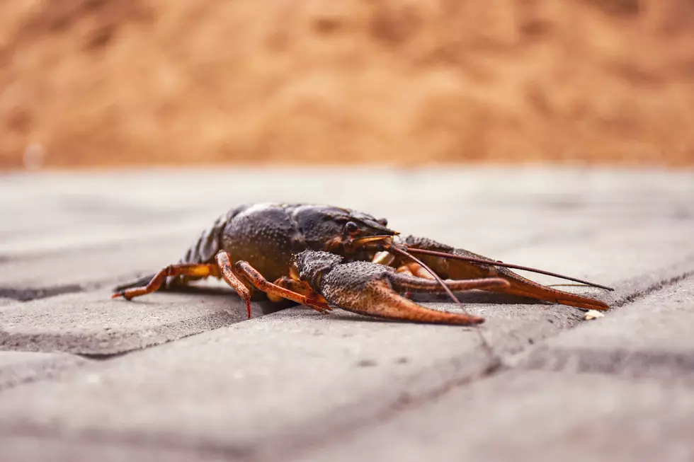 Photo by Artem Makarov on Unsplash