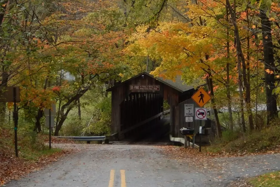 Forget Going Up North: Kent County Has A Fall Colors Tour Of Its Own