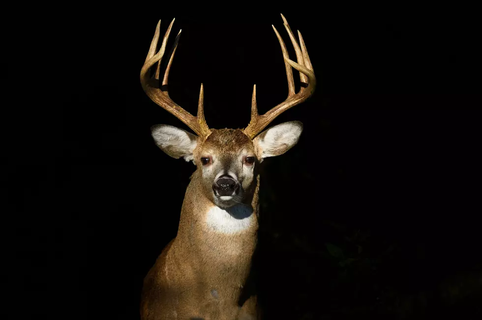 New DNR Map Tracks Deer EHD Cases by Township