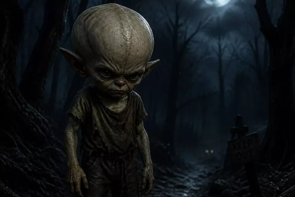 West Michigan’s Very Own Cryptid: The Melon Heads