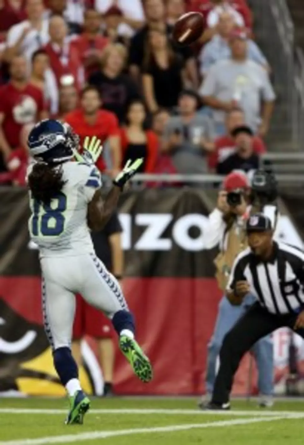 Sidney Rice Signs One-Year Deal With Seattle