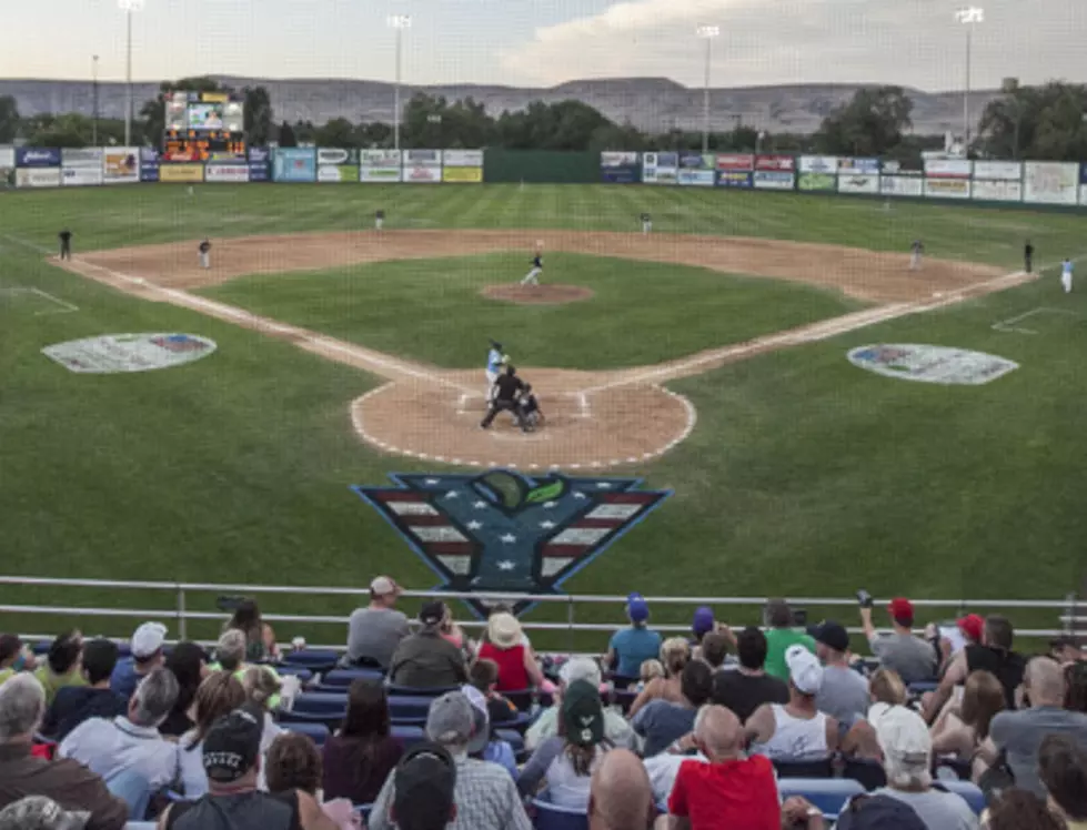 Yakima Valley Pippins Scout Team To Face YVC Baseball Squad This Weekend