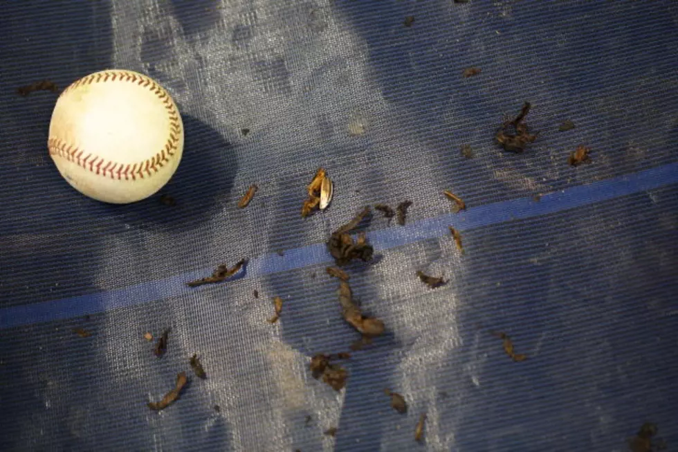 Boston Mayor Wants Ban on Chewing Tobacco at Ballparks