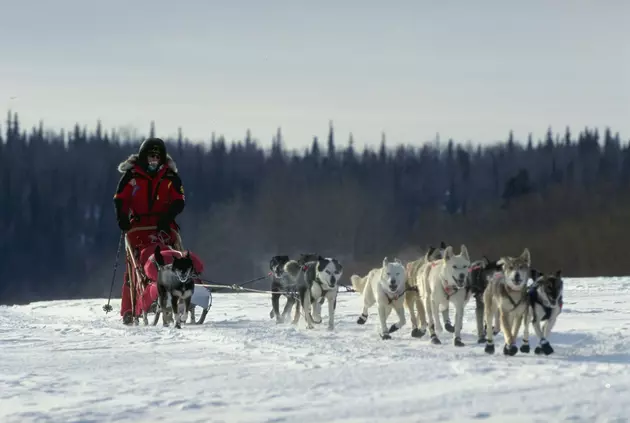 Marrs Takes Over Lead in Iditarod