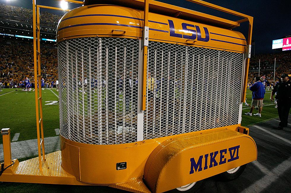 LSU’s Live Tiger Mascot Diagnosed With Rare Form of Cancer