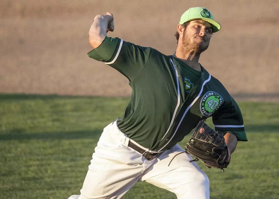 Pippins Overpower Black Bears 8-1