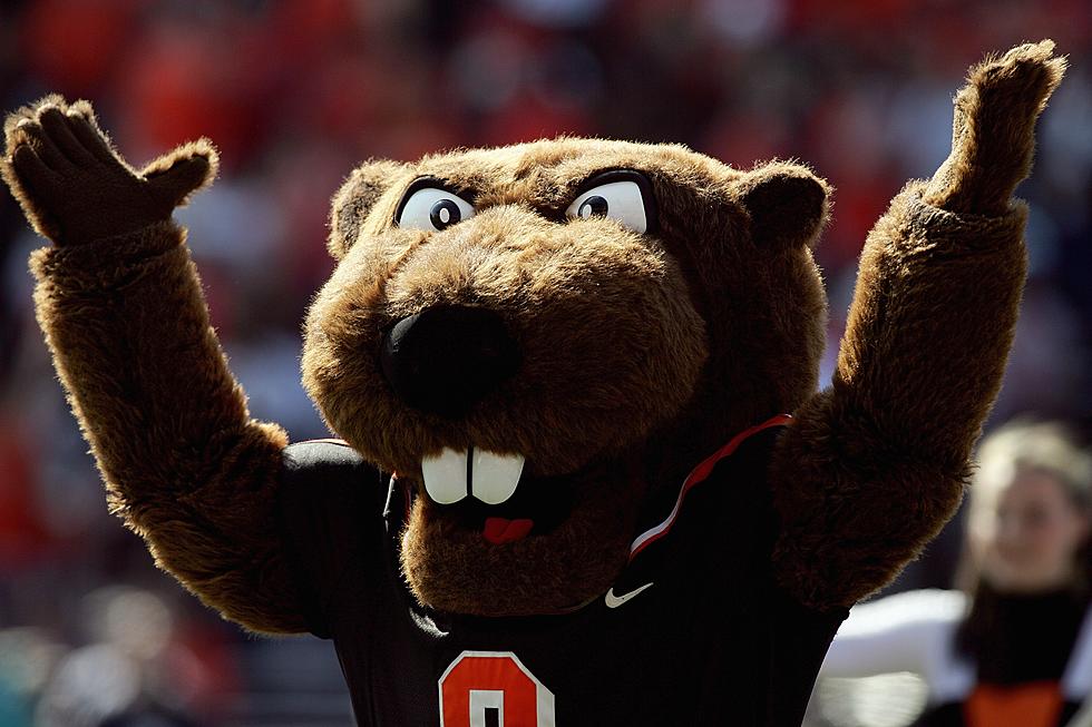 Oregon State Beavers Could Have it Big, This Weekend!