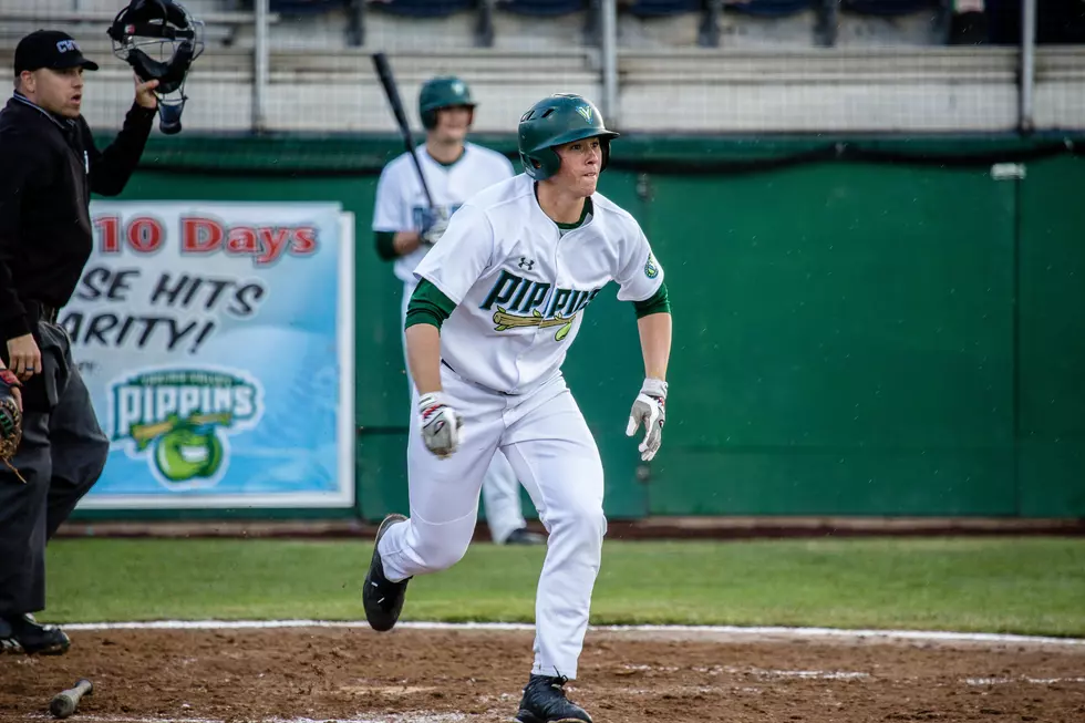Pickles Offense Stays Hot as Pippins Lose Second Straight Game
