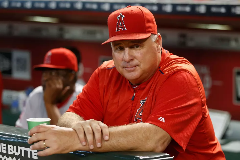Mike Scioscia Bids Farewell as Angels Manager After 19 Years