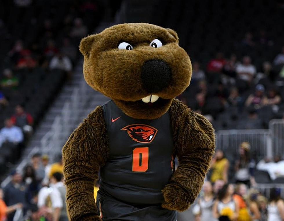 Tinkle Scores 26 as Oregon St. Holds Off Portland St., 81-76