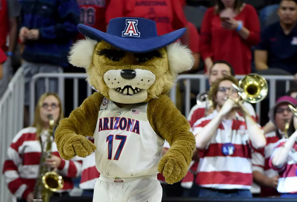 Arizona Wildcats Beat Huskies Runs Winning Streak to Six