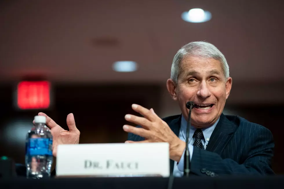 Fauci to Throw 1st Pitch at Yankees-Nationals Opener in DC