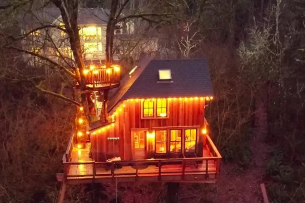 You Can Stay Overnight in This Spectacular Treehouse in Redmond [PHOTOS]