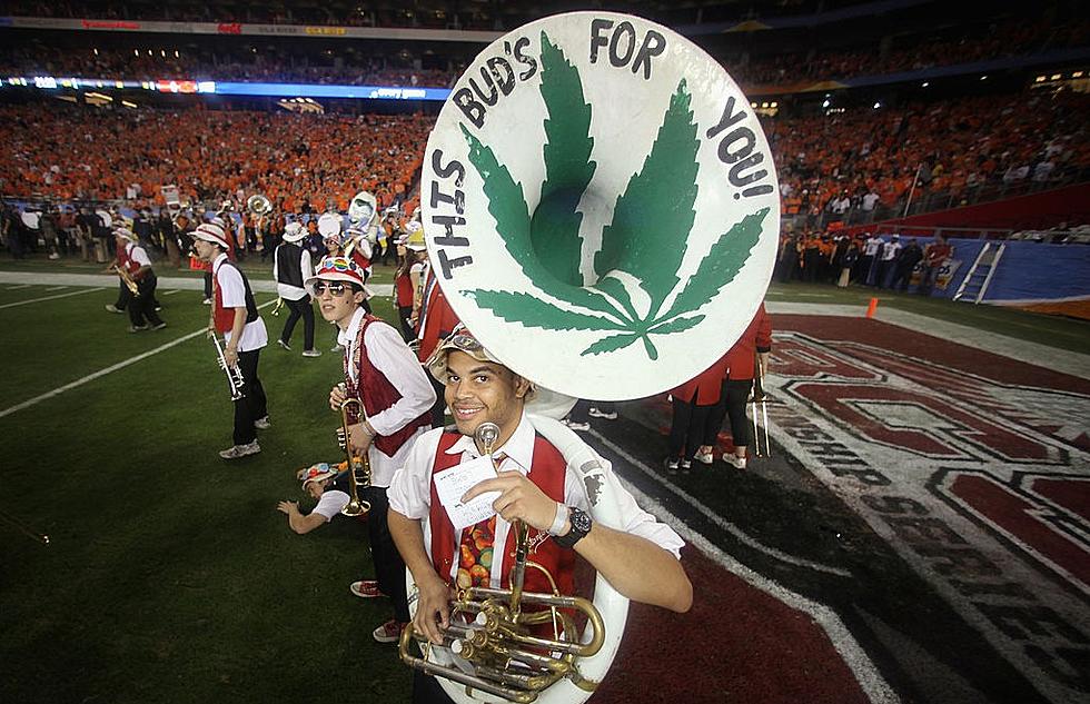 NFL Awards $1 Million for 2 Studies on Cannabinoids Effects