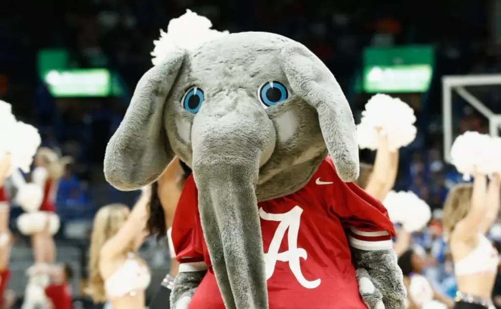 Alabama Hoops No. 1 in AP Top 25 for First Time in 20 Years