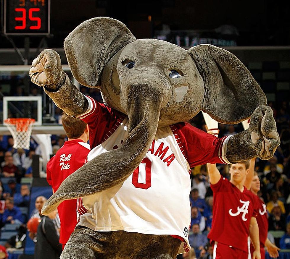 Alabama, Houston top Final AP Top 25 Ahead of March Madness
