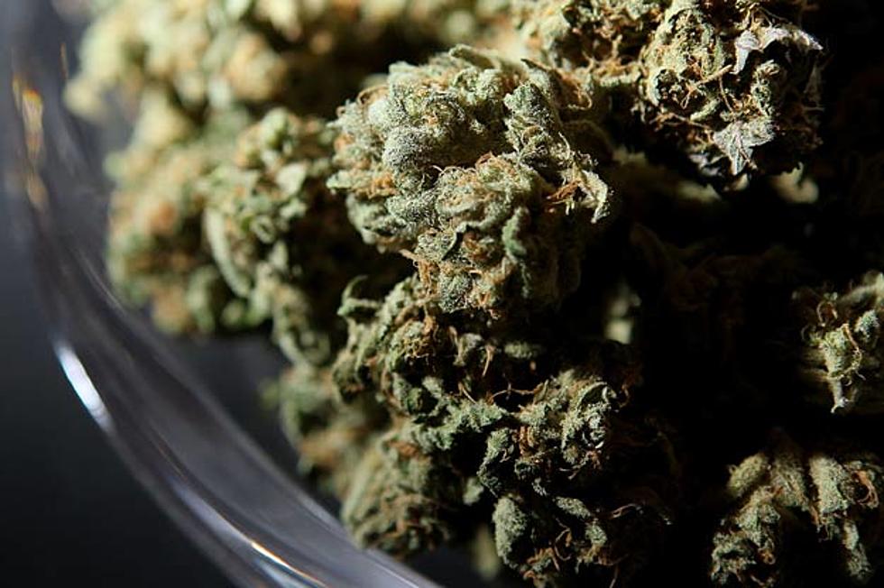 NYS Health Department Recommends Legalizing Marijuana