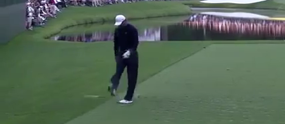 Should Tiger Be Fined? [VIDEO]