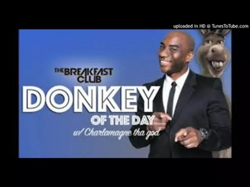 Donkey Of The Day