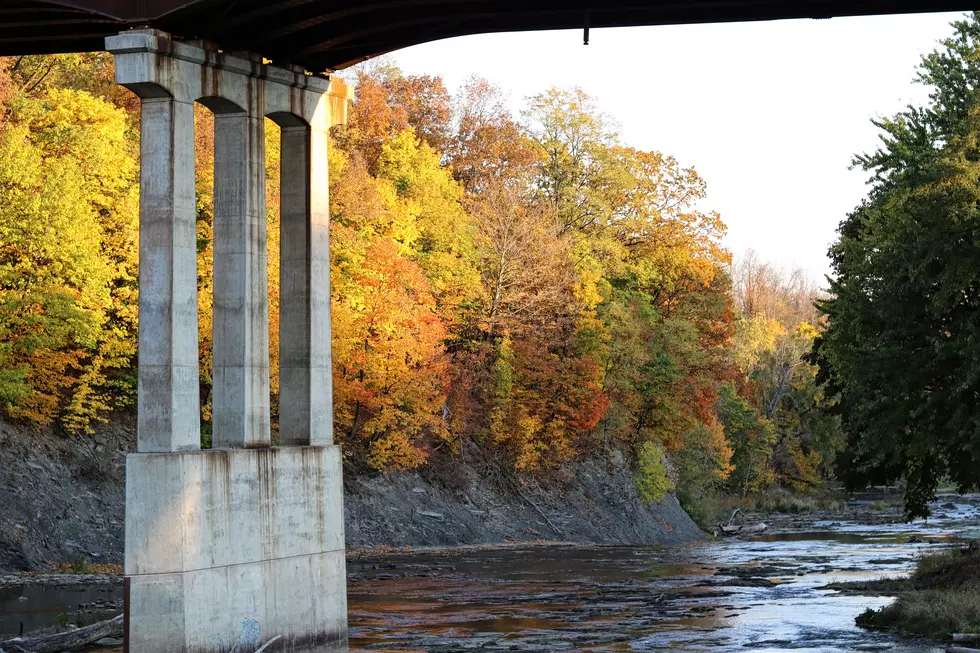 The Capital District&#8217;s Fall Foliage [GALLERY]