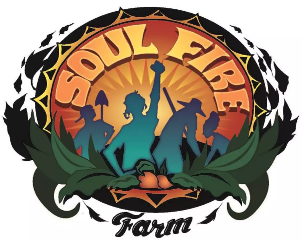 Summer SOULstice Party At Soul Fire Farm