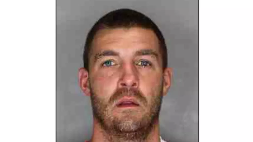 Schenectady Man Arrested For Abusing Then Killing A Cat