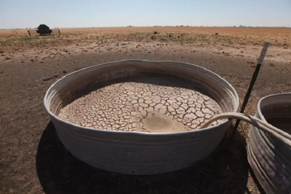 West Texas Ranchers Can Receive Emergency Loans due to Drought