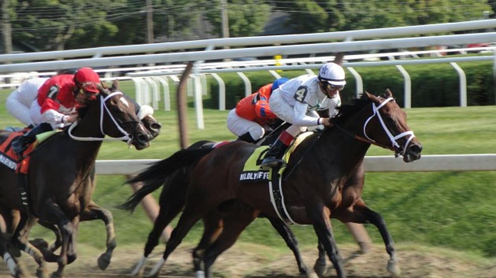 Sixth Horse Dies At The Saratoga Race Course This Year