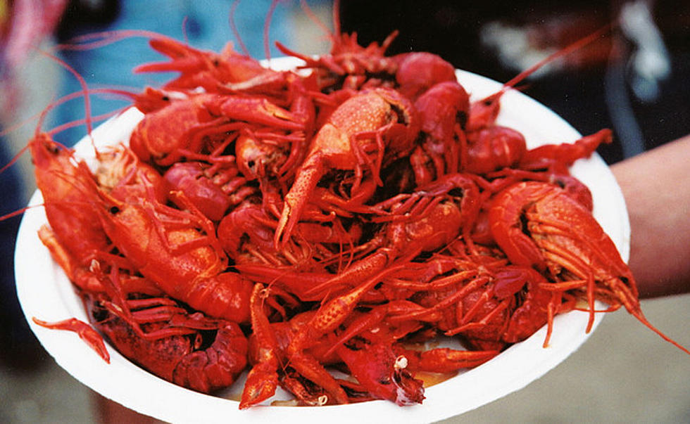 Crawfish Boil Etiquette