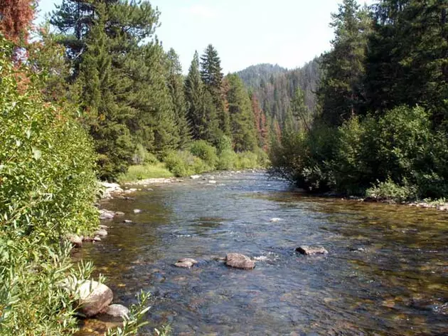 Montana FWP Seeks Review Of Proposal To Remove Non-Native Fish In Bitterroot&#8217;s Overwhich Creek