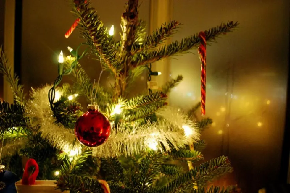 Christmas Tree Dropoff Sites Open in Casper, Evansville, Mills