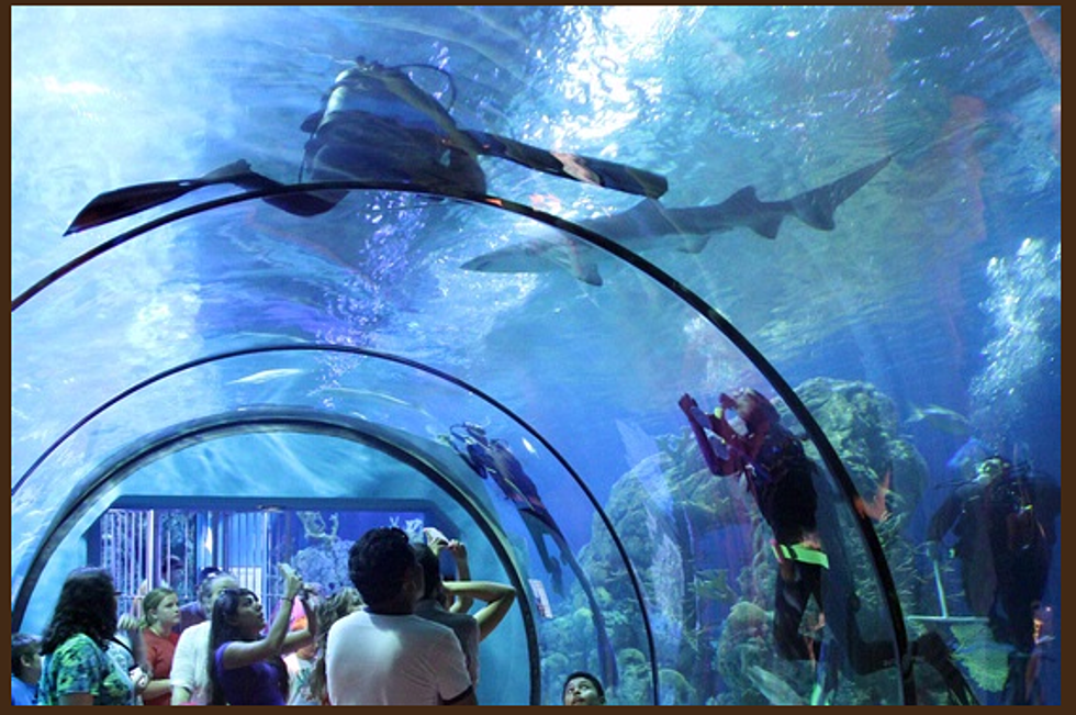 Win a family getaway to Moody Gardens in Galveston.