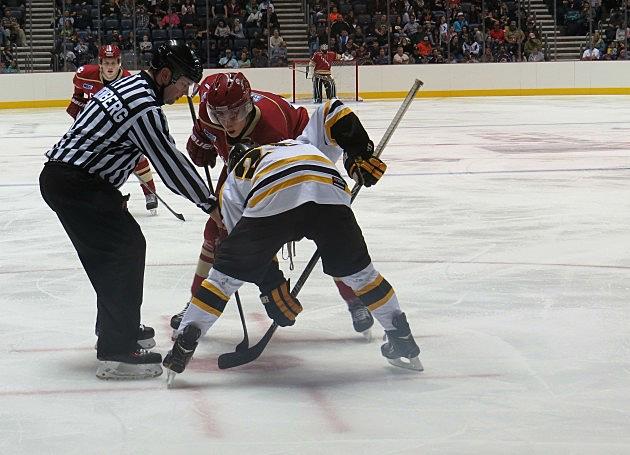 Is a Wyoming City Ranked in the Top Twenty for Hockey Fans?