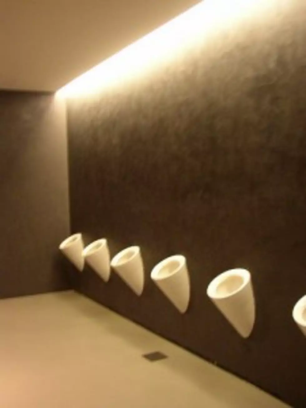 Iowa Art Group Offers &#8216;Urinal Rights&#8217; At New Center!