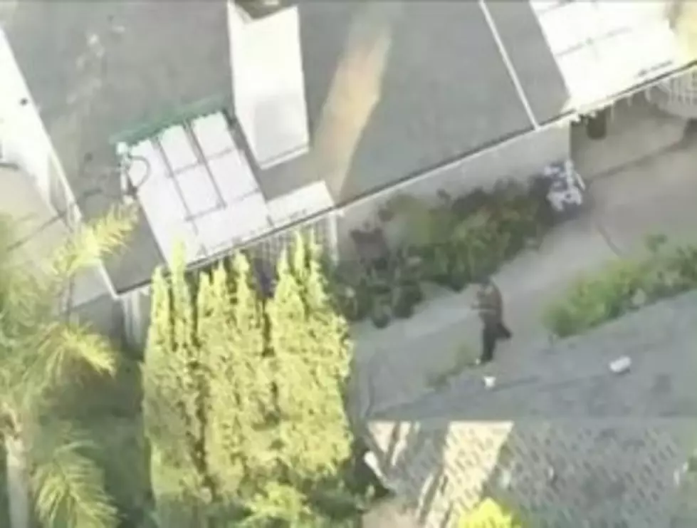 Texting And Walking Leads To Bear Encounter [Video]