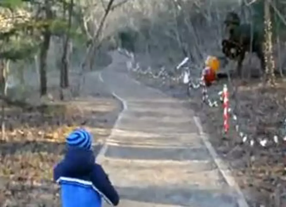 Giant Robot Dinosaur Scares Little Kid [Video]