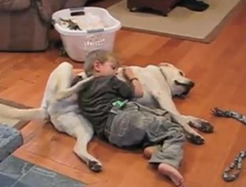 Dog & Kid Have Mutual Back Scratching Down [Video]