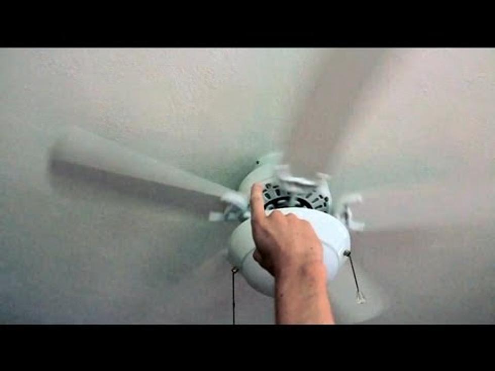 Man Makes Music By Sticking Things In Fans [Video]