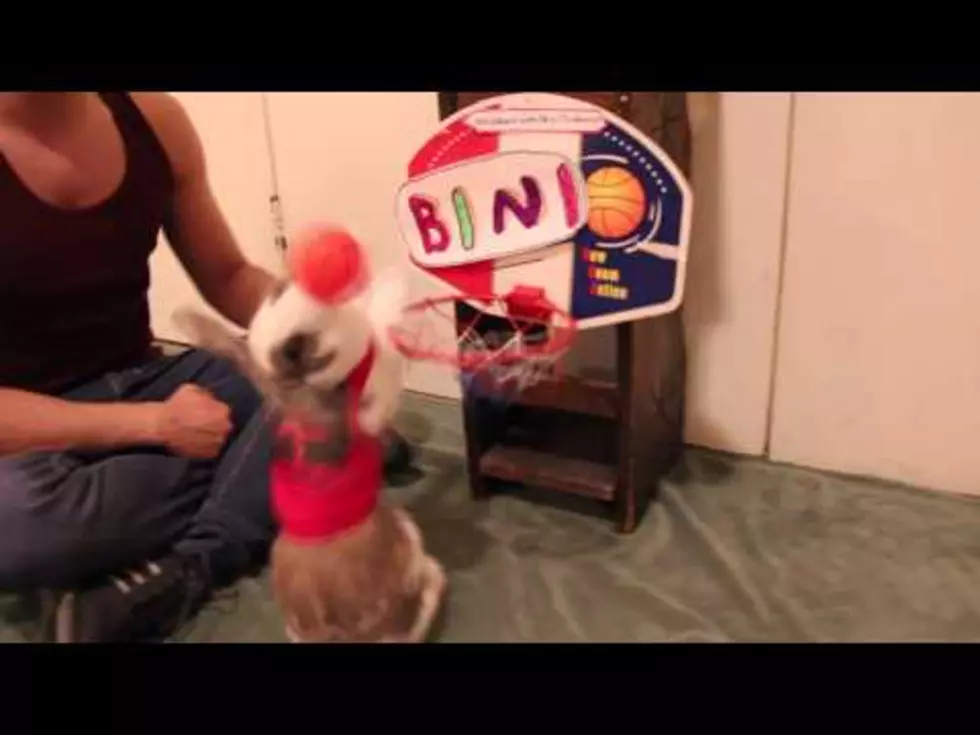 This Bunny Plays Basketball Better Than Most People [Video]