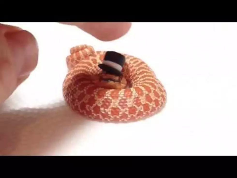 Need A Pick-Me-Up? Watch This Video Of Tiny Snakes Wearing Tiny Top Hats [Video]