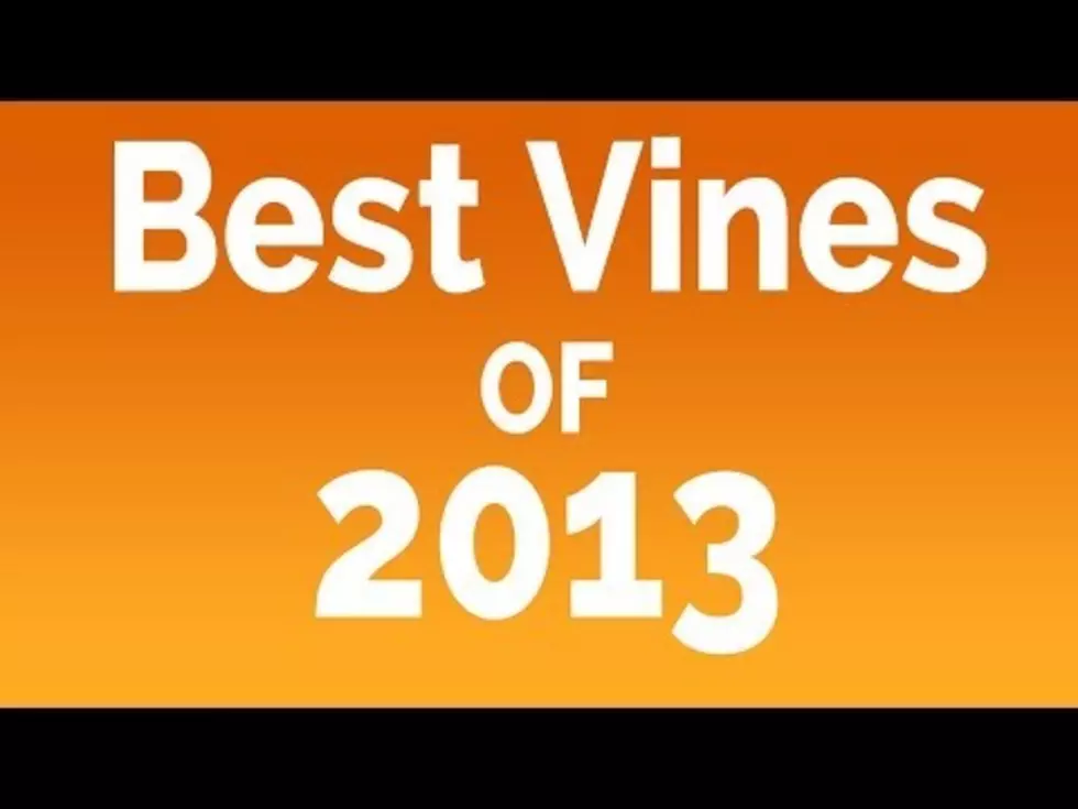 The Best Vines Of 2013 [Video]