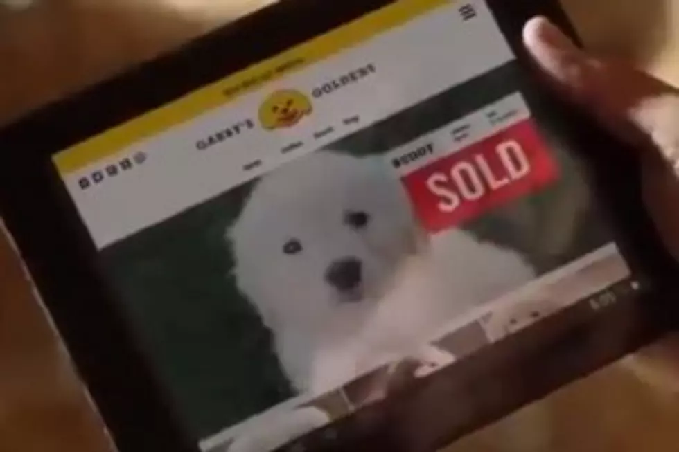 GoDaddy Pulls Super Bowl Commercial Due To Criticism [Video]
