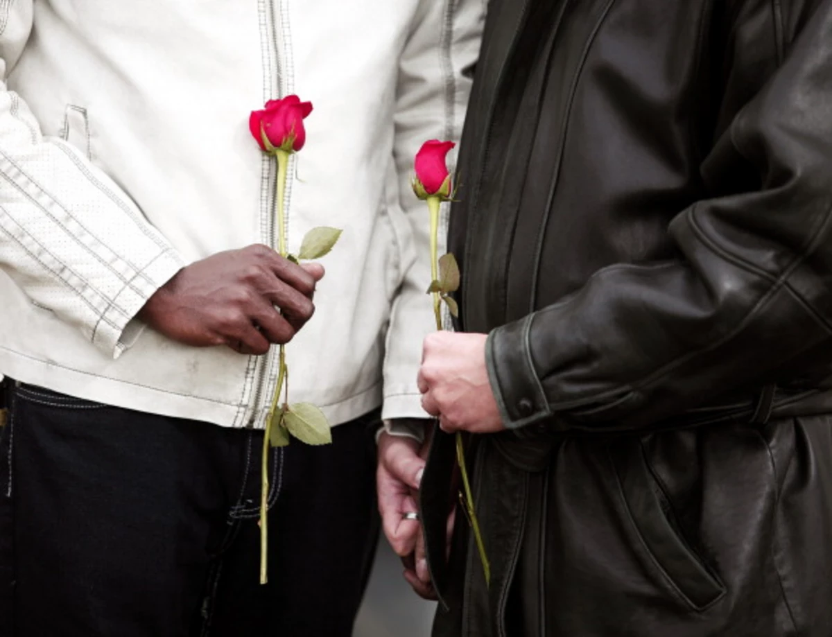Judge Rules Michigan Must Recognize 300 Same Sex Marriages