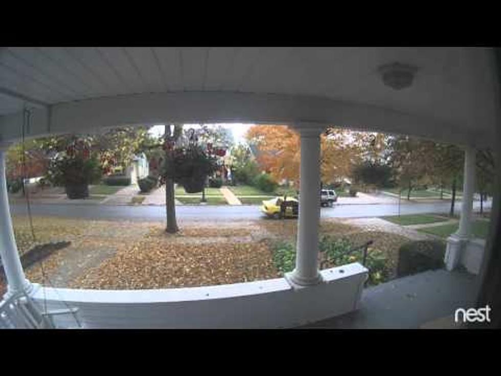 Package Thief Caught on Video [Video]