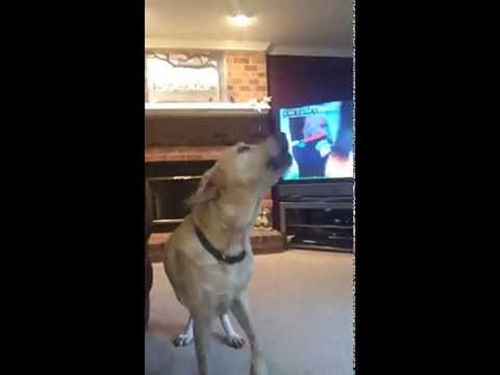 Baby Gets in on Dog’s Howling Competition [Video]