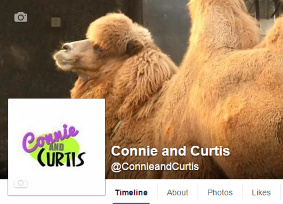 This Is Why Connie &#038; Curtis Post Camels On Their Facebook Page On Wednesdays [Video]