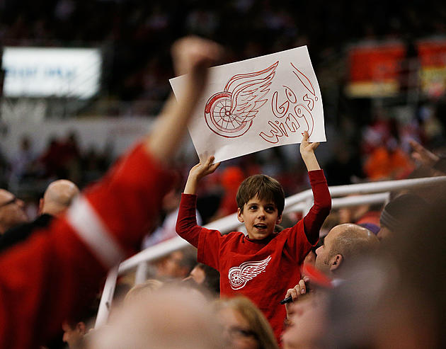 8 Michigan Cities Named In List Of Best Cities For Hockey Fans