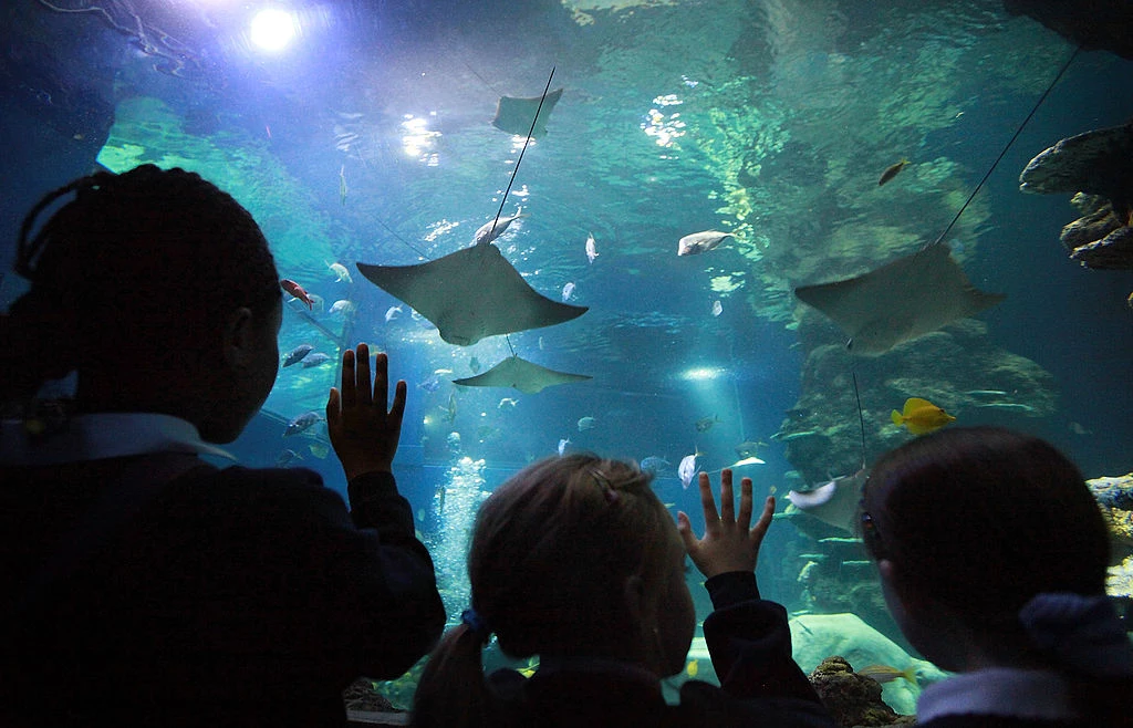 Is West Michigan Finally Getting An Aquarium?