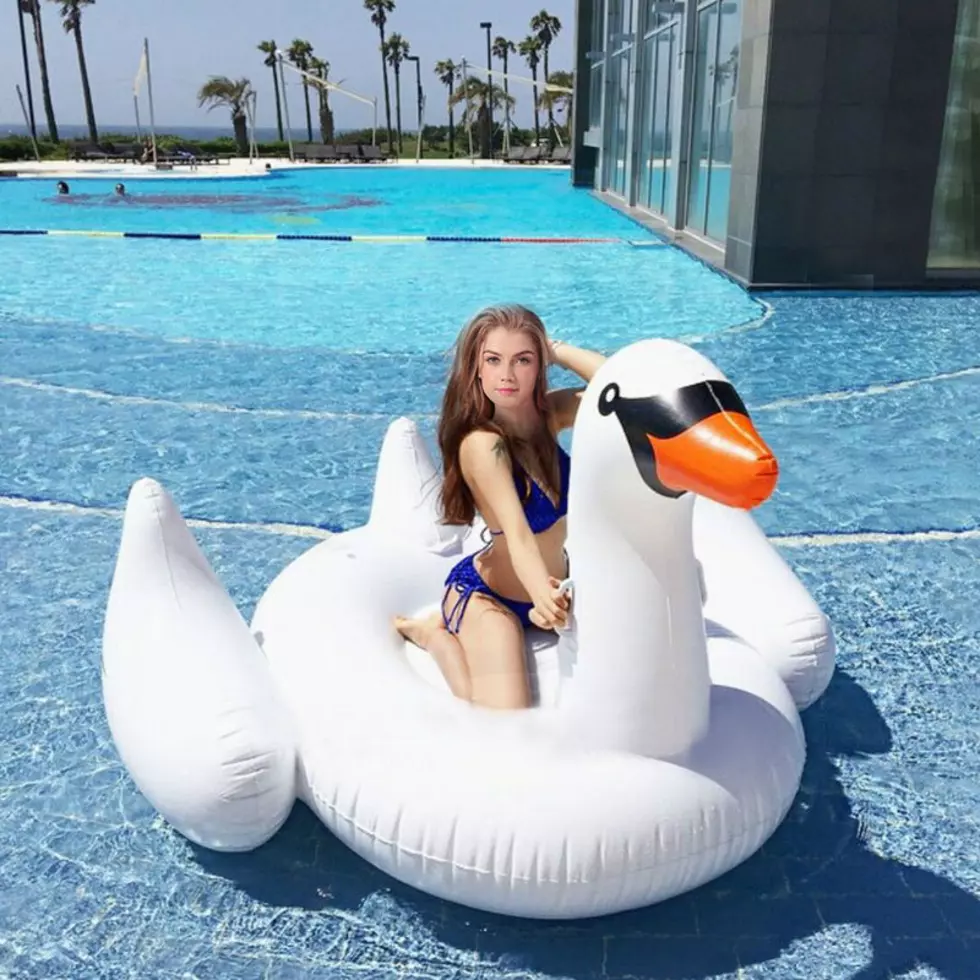 Cool Summer Pool Toys