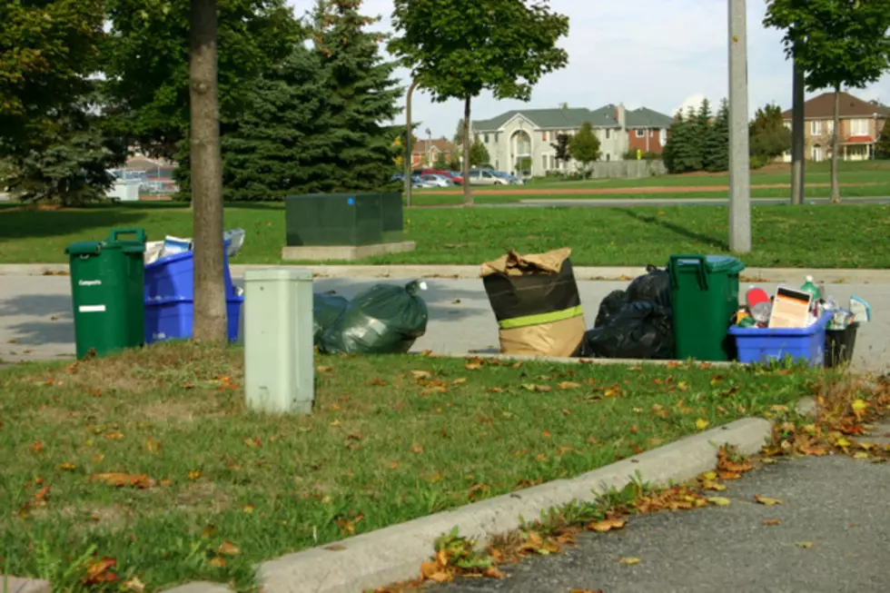 Grand Valley Student Recovered Over $33,000 Of Goods From Dumpster Diving